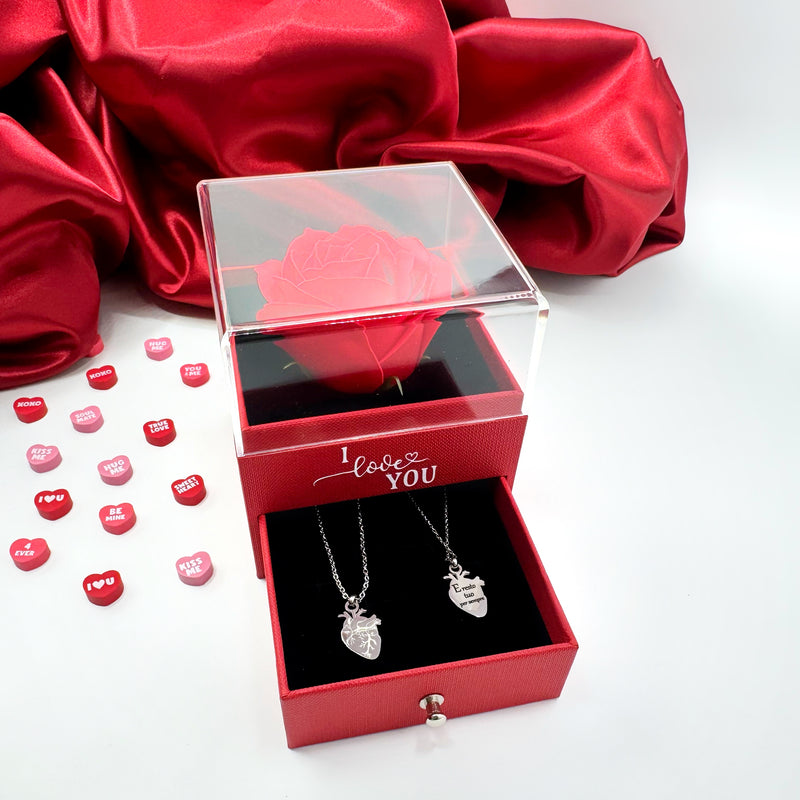 Cuore anatomico con incisione